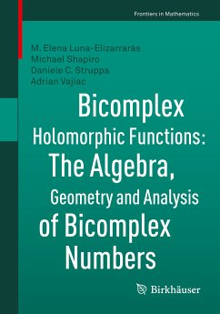 Bicomplex Holomorphic Functions (eBook, PDF) - Luna-Elizarrarás, M. Elena; Shapiro, Michael; Struppa, Daniele C.; Vajiac, Adrian