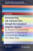 Reinterpreting Sub-Saharan Cities through the Concept of Adaptive Capacity (eBook, PDF)