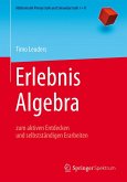 Erlebnis Algebra (eBook, PDF)