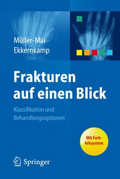 Frakturen auf einen Blick (eBook, PDF)