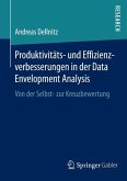 Produktivitäts- und Effizienzverbesserungen in der Data Envelopment Analysis (eBook, PDF)