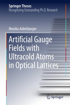 Artificial Gauge Fields with Ultracold Atoms in Optical Lattices (eBook, PDF) - Aidelsburger, Monika
