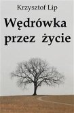 Wędrówka przez życie (eBook, ePUB)