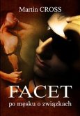 Facet (eBook, ePUB)