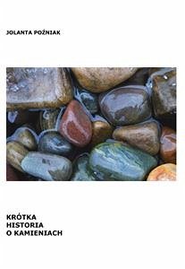 Krótka historia o kamieniach (eBook, ePUB) - Poźniak, Jolanta