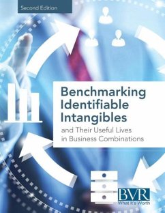 Benchmarking Identifiable Intangibles and Their Useful Lives in Business Combinations, Second Edition - Bvr Staff