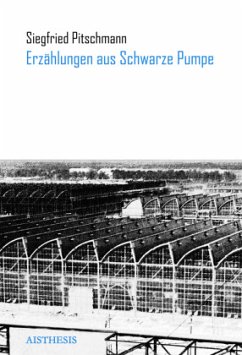 Erzählungen aus Schwarze Pumpe - Pitschmann, Siegfried