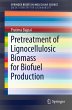 Pretreatment of Lignocellulosic Biomass... - Bild 1
