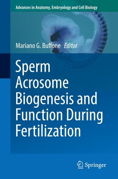 Sperm Acrosome Biogenesis and Function During Fertilization