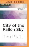 City of the Fallen Sky