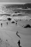 Alive! little penguin friends - black and white - Photo Art Notebooks (6 x 9 series)