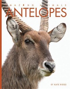 Antelopes - Riggs, Kate