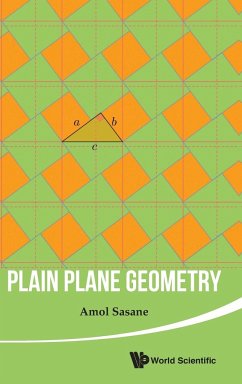 Plain Plane Geometry - Sasane, Amol