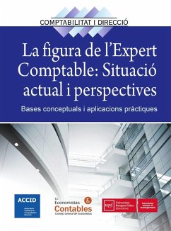 Cover La figura de l'expert comptable : situació actual i perspectives : bases conceptuals i aplicacions pràctiques