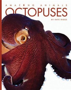 Octopuses - Riggs, Kate