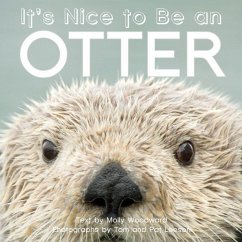 It's Nice to Be an Otter - Woodward, Molly