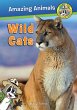 Wild Cats - Bild 1