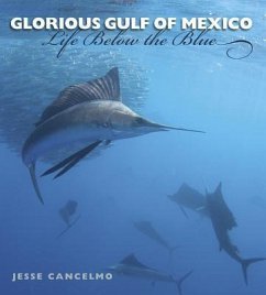 Glorious Gulf of Mexico: Life Below the Blue Volume 28 - Cancelmo, Jesse