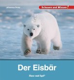 Der Eisbär