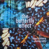 the butterfly effect the butterfly effect