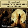 Sherlock Holmes und das Elfenfoto... - Bild 1