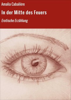 Cover In der Mitte des Feuers (eBook, ePUB)