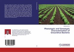 Phenotypic and Genotypic Characterization of Groundnut Bacteria