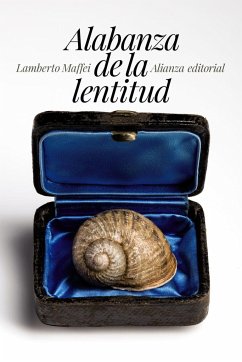 Alabanza de la lentitud - Maffei, Lamberto