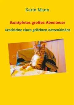 Samtpfotes großes Abenteuer (eBook, ePUB) - Mann, Karin