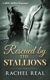 Rescued by the Stallions (Blackwood Stallions, #5) (eBook, ePUB)