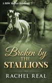 Broken by the Stallions (Blackwood Stallions, #4) (eBook, ePUB)