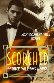 Montgomery Vale: Scorched (eBook, ePUB)