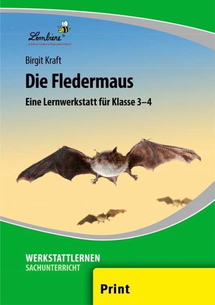 Die Fledermaus Pr Von Birgit Kraft Schulbucher Portofrei Bei Bucher De