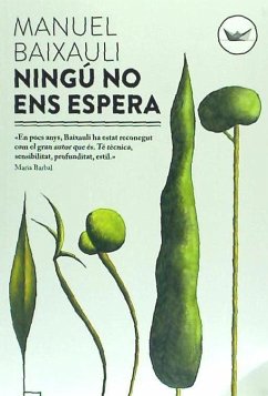 Ningú no ens espera - Baixauli Mateu, Manuel