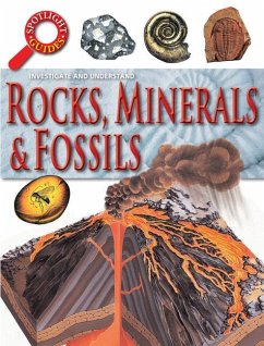 Rocks, Minerals & Fossils - Curtis, Neil