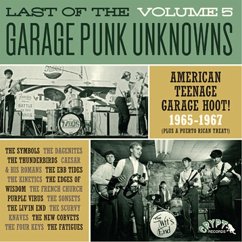 The Last Of..Vol.5 - Various/Garage Punk Unknowns