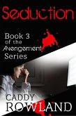 Seduction (The Avengement Series, #3) (eBook, ePUB)