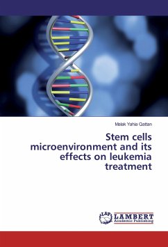 Stem cells microenvironment and its effects on leukemia treatment