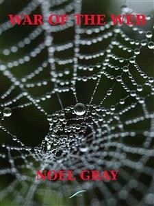 War of the Web (eBook, ePUB) - Gray, Noel