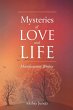 Mysteries of Love and Life - Bild 1