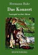 Das Konzert - Bild 1