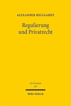 Regulierung und Privatrecht - Hellgardt, Alexander