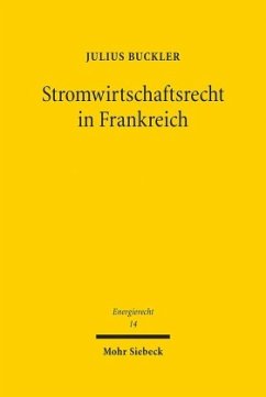 Stromwirtschaftsrecht in Frankreich - Buckler, Julius