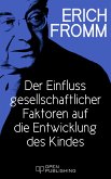 Der Einfluss gesellschaftlicher Faktoren auf die Entwicklung des Kindes (eBook, ePUB)