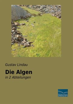 Die Algen - Lindau, Gustav