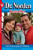 Sein Wunsch ging in Erfüllung (eBook, ePUB)