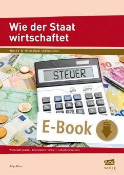 Wie der Staat wirtschaftet (eBook, PDF) - Allani, Katja