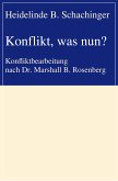 Konflikt, was nun? (eBook, ePUB)