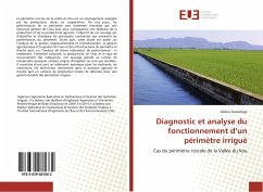 Diagnostic et analyse du fonctionnement d¿un périmètre irrigué - Sawadogo, Alidou