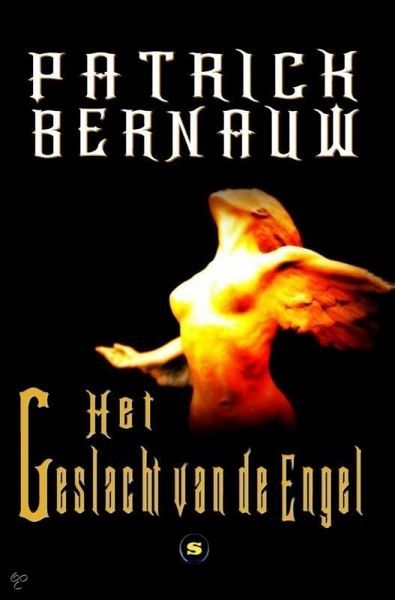 Het geslacht van de engel (eBook, ePUB)
